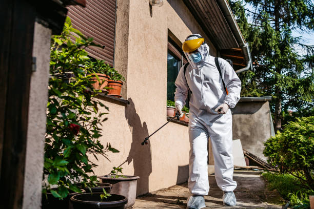 Best Residential Pest Control  in Mount Airy, MD