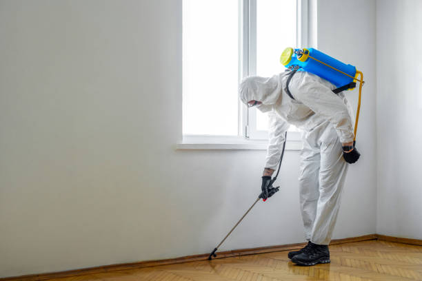 Best Affordable Pest Control Services  in Mount Airy, MD