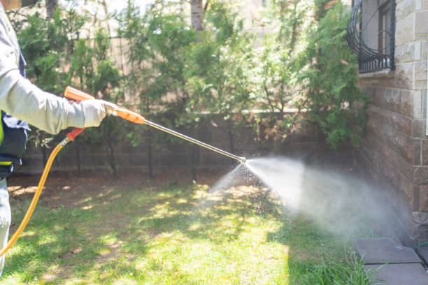 Best Pest Control Treatment  in Mount Airy, MD