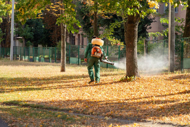 Best Commercial Pest Control Services  in Mount Airy, MD